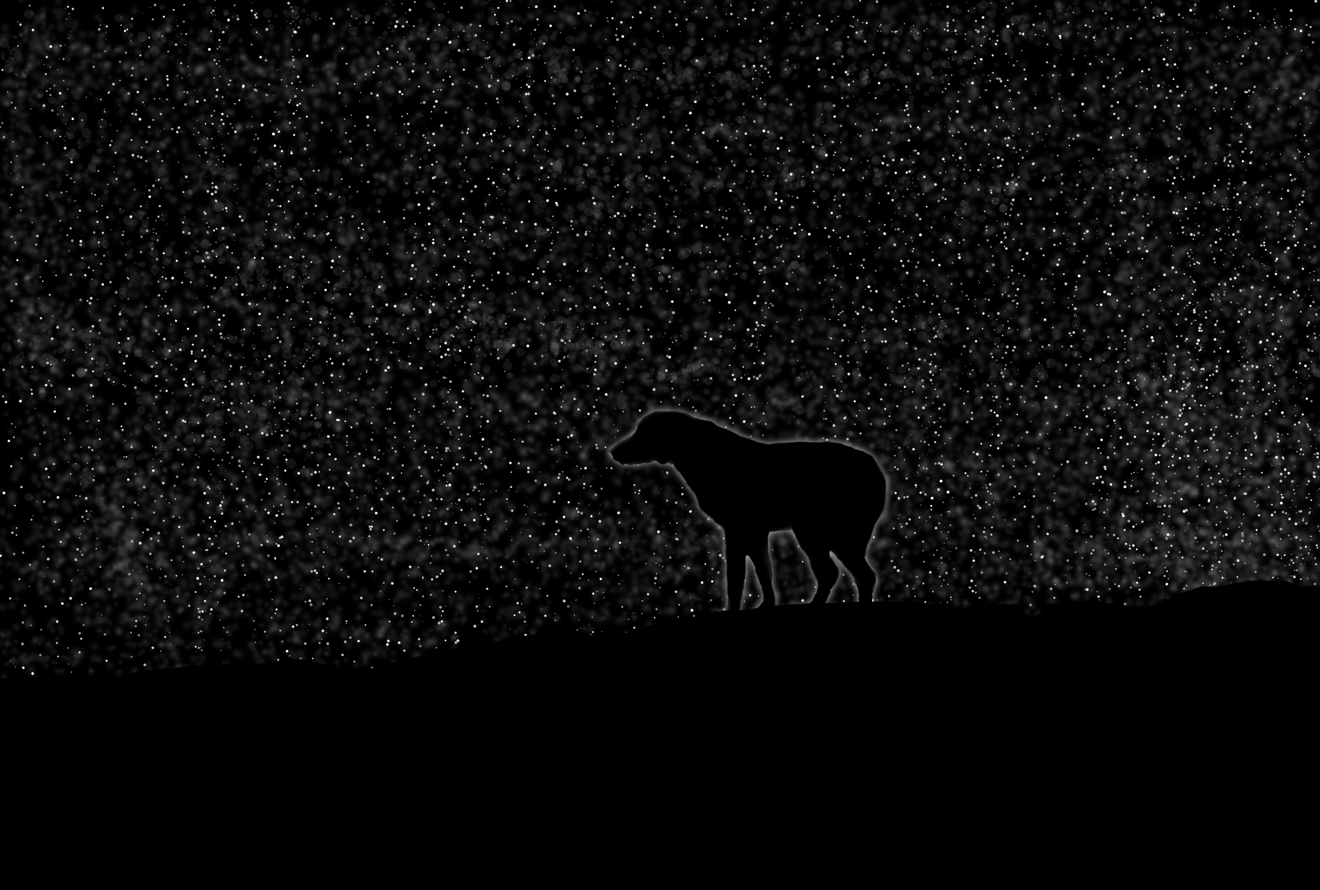 Rainy Silhouette